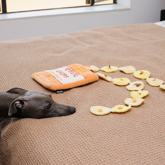 Rustle Potato Chips Dog Snuffle Toy