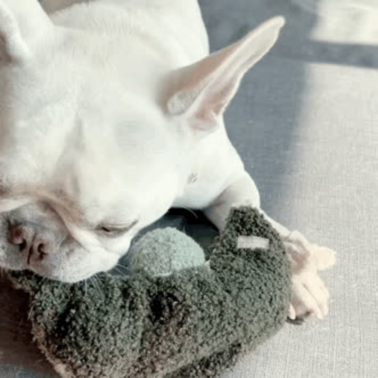 ENRICHMENT TOY-SNUFFLE TOY