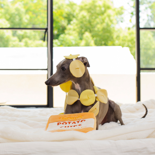 Rustle Potato Chips Dog Snuffle Toy