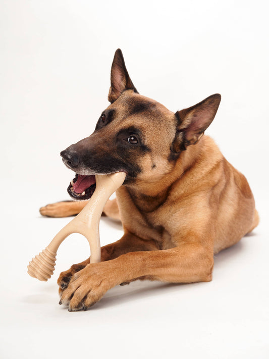 BetterBone HARD -Durable, All-Natural, No Nylon, Sustainable - Unflavored / Large (dogs over 25 lbs)
